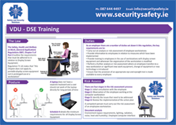 VDU-DSE Training